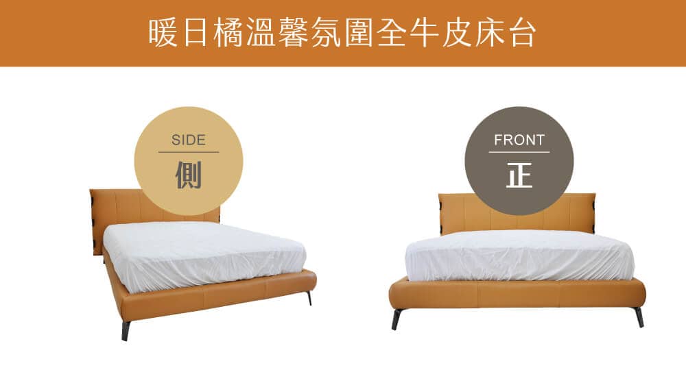 DS418-全牛床台正面與側面視圖