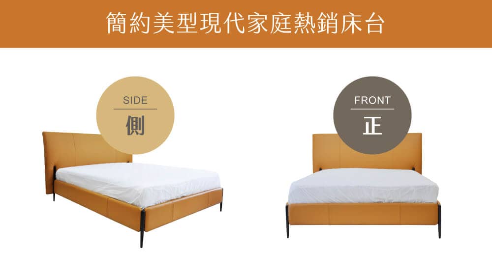 DS420-全牛床台正面與側面視圖