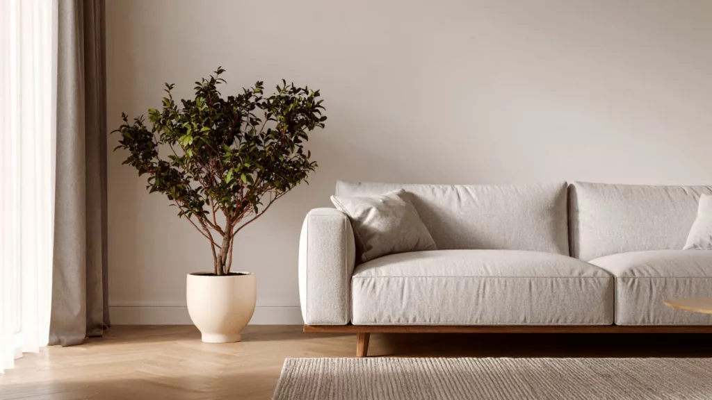 現代風格客廳，使用窗簾、地毯與盆裁做佈置